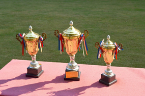 广州罗浮山公墓官网荣誉资质